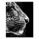 thumbnail image 1 of Pintura impresa en lienzo de animales, para decorar la sala de estar y el hogar, cuadro de pared de león, elefante, ciervo y cebra, 1 of 4