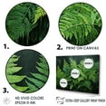 thumbnail image 3 of Designart "Forest Of Emerald Green Ferns I" Plants Floater Framed Wall Art Living Room, 3 of 5