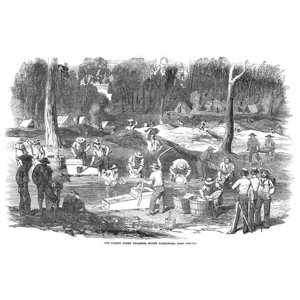 Australian Rush 1851 Nthe Forest Creek Diggings At Port Phillip Victoria Wood Engraving From English Newspaper 1852 Poster Print by Granger Collection - Walmart.com - Walmart.com