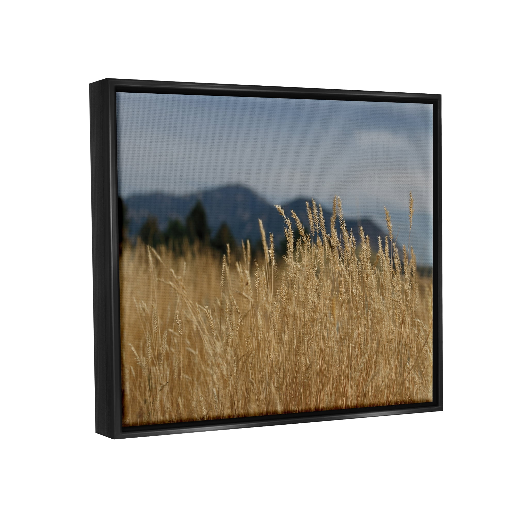 Stupell Industries Wheat Field Landscape Nature Photography Black Floater Framed Art Print Wall Art, 21 x 17