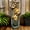 Other, variant on Watnature 40" H Outdoor Water Fountain - 4 Crocks Outdoor Modern Outdoor Waterfall with Contemporary Design for Garden, Patio, Deck, Porch, Backyard and Home Art Décor