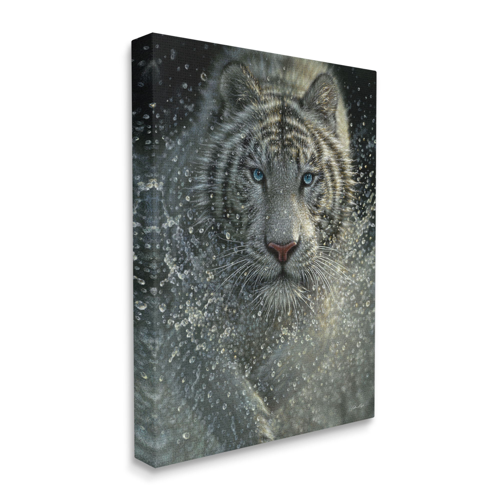 Stupell Industries Fierce White Bengal Tiger Running Water Splashing Portrait Paintings Gallery-Wrapped Canvas Print Wall Art, 30x40, by Collin Bogle