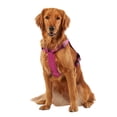 thumbnail image 2 of Arnés para Perro KONG Ultra Resistente con Dispensador de Bolsas Pequeño Rosa, 2 of 4