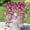 C, variant on Artificial Eucalyptus Trumpet Flower Vine Garland, Gradient Color Faux Greenery with Bloom Accents, Silk Floral Vine for Wedding Arch, Spring Home Decor, Easter Party Decoration,29*3.7in