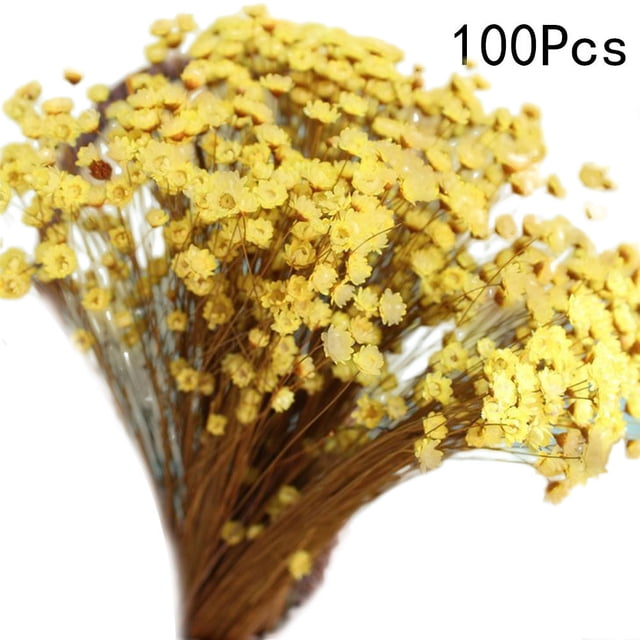 FUEENIRVA 100Pcs Mini Daisy Decorative Dried Flowers Yellow Home Decoration Handcrafted