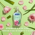 thumbnail image 3 of Softsoap Antibacterial Sensitive Liquid Hand Soap, 332 mL Bottle, 332 mL Bottle, 3 of 5