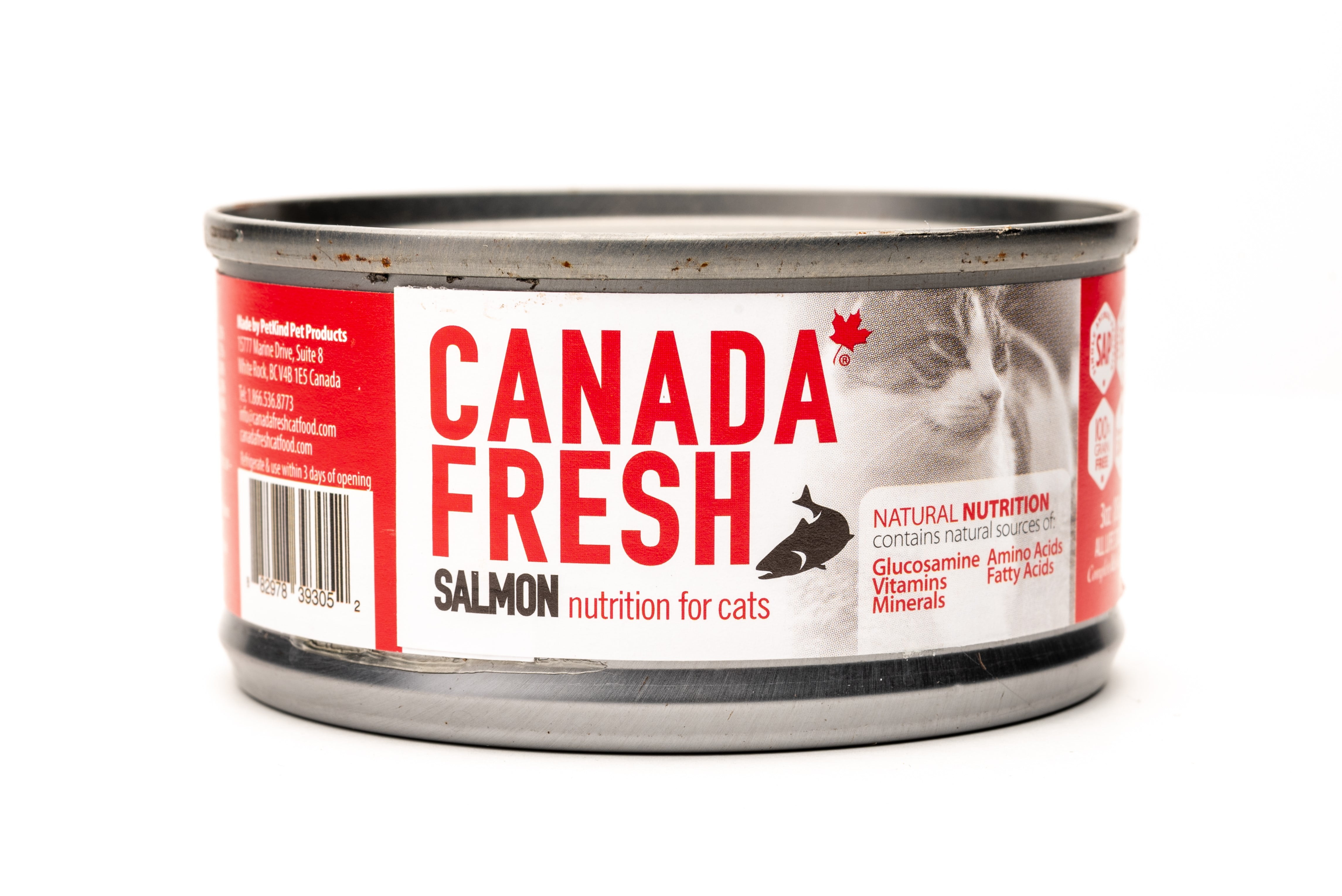 fresh salmon for cats
