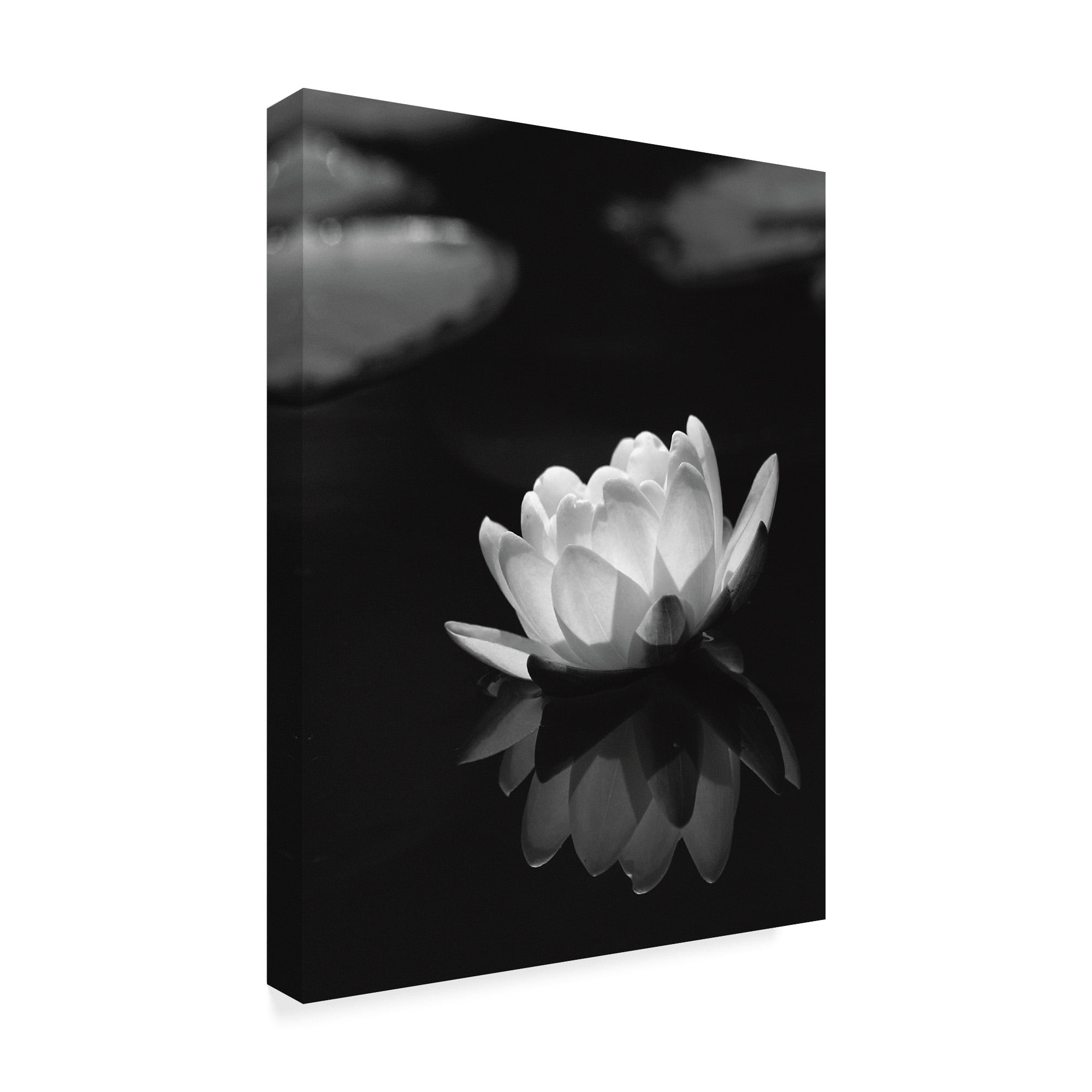 Trademark Fine Art 'Water Lily' Canvas Art by István Nagy