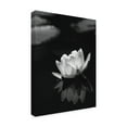 thumbnail image 2 of Trademark Fine Art 'Water Lily' Canvas Art by István Nagy, 2 of 3