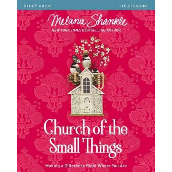 Pre-Owned Church of the Small Things Study Guide: Making a Difference Right Where You Are, (Paperback)