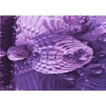 thumbnail image 1 of Ahgly Company Machine Washable Indoor Rectangle Transitional Heliotrope Purple Area Rugs, 8' x 12', 1 of 7