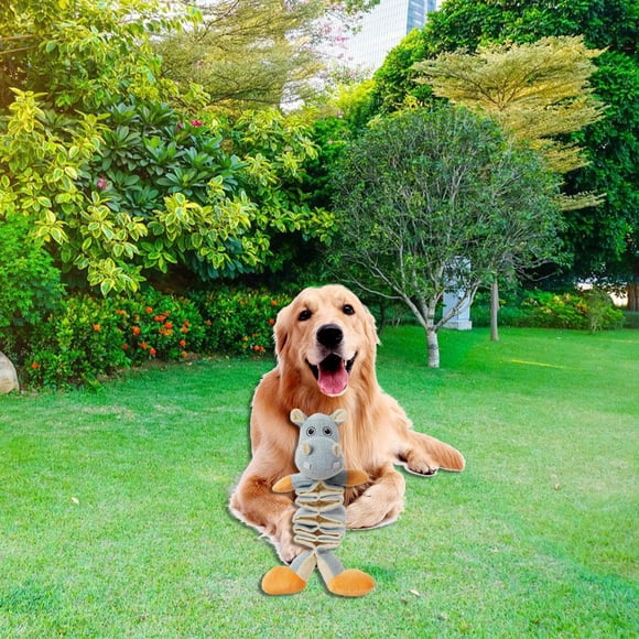 Juguete Chirriante para Perros Colco Resistente a Mordeduras