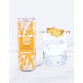 thumbnail image 2 of Pack of 6, Dry Soda Ginger Botanical Bubbly, 4 cans - 48 oz, 2 of 5