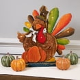 thumbnail image 2 of 13" LED Lighted Turkey with Pumpkin Fall Harvest Decoration, 2 of 5