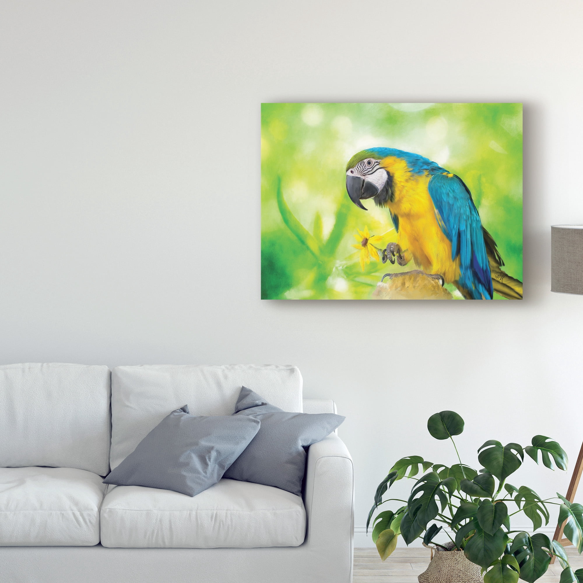 Trademark Fine Art 'Blue and Yellow Macaw' Canvas Art by Lois Bryan