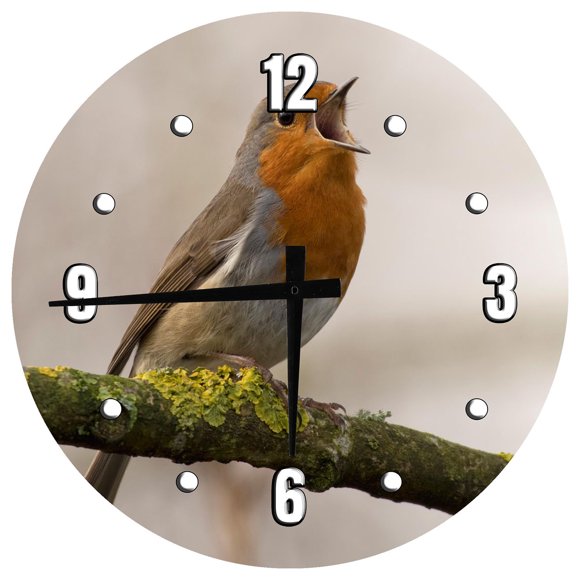 Singing Bird Clock