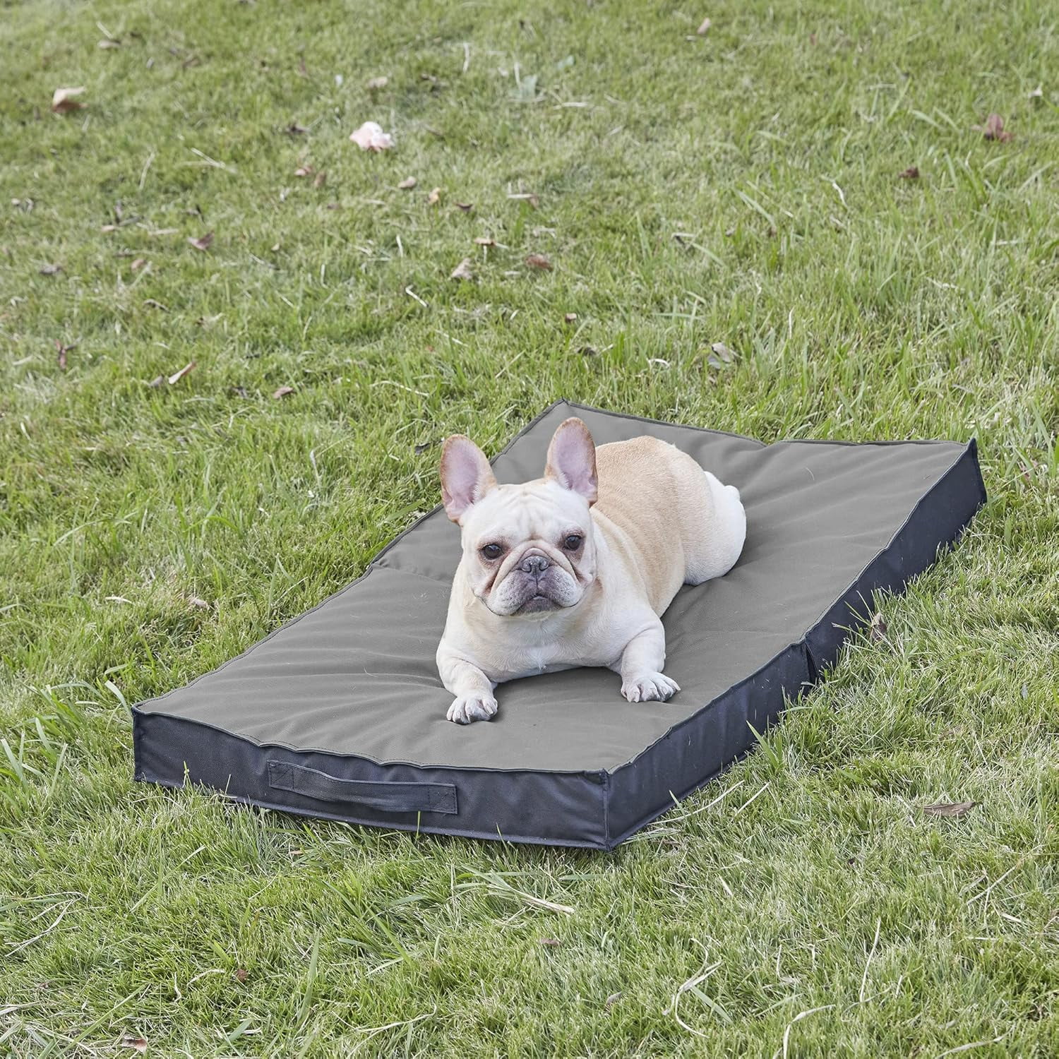 Waterproof Foldable Outdoor Dog Bed for Large Dogs, Orthopedic Portable All-Weather Bed with Washable Cover, 41 Inch for Indoor and Outside Use
