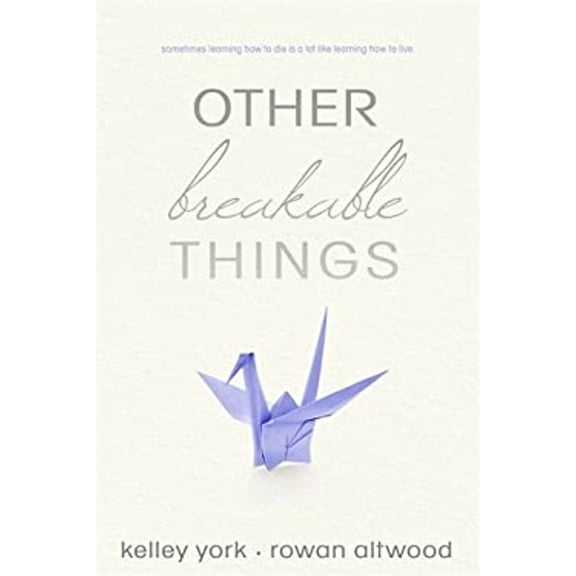 Pre-Owned Other Breakable Things (Paperback) 9781633755949