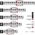 thumbnail image 3 of Piano Keyboard Stickers For 88/61/54/49/37 Key, Bold Large Letter Piano Stickers For Learning, Removable Piano Keyboard Banmo, 3 of 5