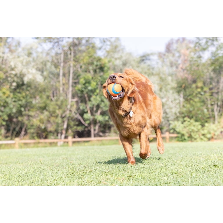 Chuckit! Ultra Dog Ball Rubber Fetch Toy, Extra Large 4 Inch XXL photo 2