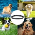 thumbnail image 5 of Correa adicional para collar de perro: compatible con todos los collares de adiestramiento con descarga eléctrica., 5 of 5