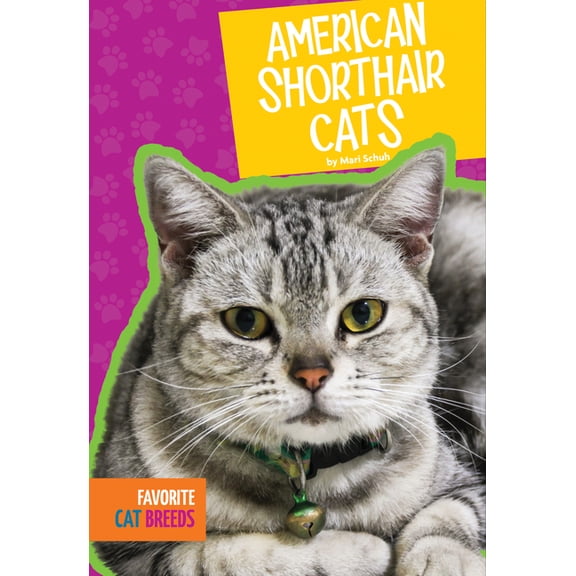 Favorite Cat Breeds: American Shorthair Cats (Paperback)