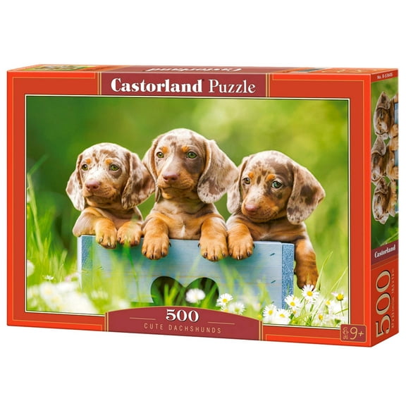 500 Piece Jigsaw Puzzle, Cute Dachshunds, Animal puzzle, Dogs, Puppies, Adult Puzzle, Castorland B-53605