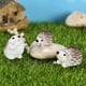thumbnail image 2 of Lindos y pequeños adornos de micropaisaje con forma de erizo, plantas en macetas carnosas, accesorios decorativos, manualidades creativas de resina, 2 of 6