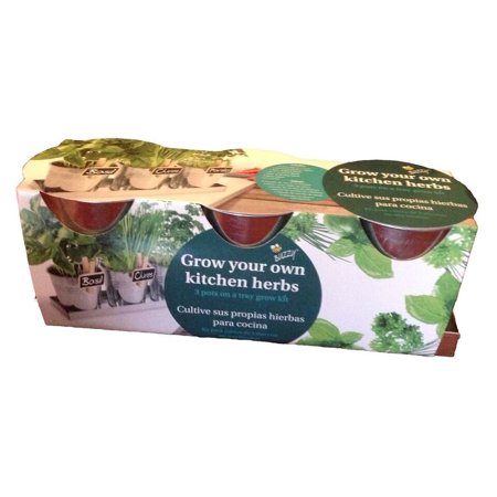 Grow Your Own Kitchen Herbs Kit