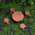 thumbnail image 3 of Joernso Landscape Ornament Handicraft Excellent Workmanship Exquisite Resin Craft Garden Miniature Table Chair for Home Desktop, 3 of 8