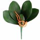 thumbnail image 1 of Monstrate Simulación de hoja de Phalaenopsis, plantas artificiales de tacto Real, flores decorativas, Material auxiliar, decoración de flores, hojas de Plantas Artificiales verde 23.5 cm Monstrate HA6745-02B, 1 of 1
