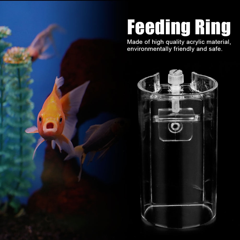 with Suction Cup Easy to Install Aquarium Safe Floating Fish Feeding Ring Suitable for Guppies Square Round Fish Feeding Ring Bettas Etc Goldfish Soohu 2 Pcs Fish Feeder Blue