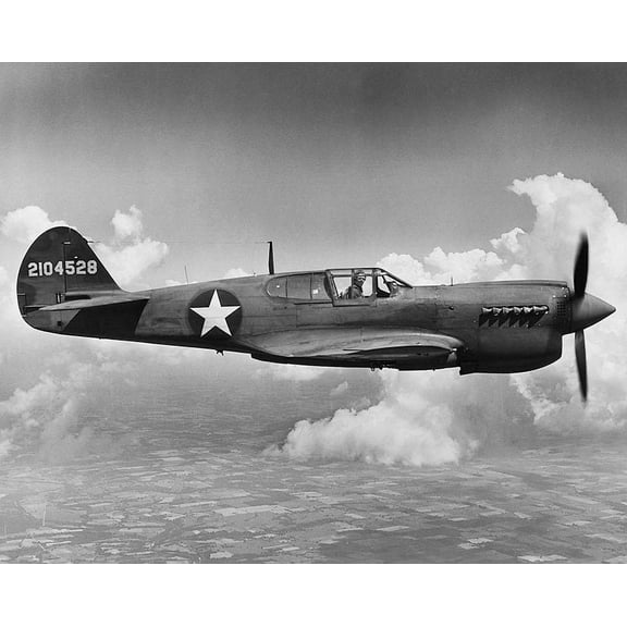 Curtiss P-40 Warhawk Aircraft - 12x18 Inch Laminated Aviation Poster - Stunning Detail and Bold Colors