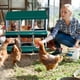 thumbnail image 4 of Garvee caja nido para gallinas de 6 compartimentos, montaje en pared, diseño roll away para recolectar huevos fácil, con bandejas extraíbles y limpieza sencilla, 4 of 9