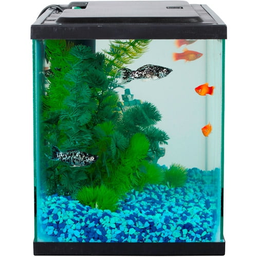 Buy Aqua Culture 5Gallon Glass Fish Tank LED Aquarium Starter Kit Online in India. 20693704