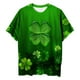 thumbnail image 4 of Blusa informal de manga corta con cuello redondo y manga corta para mujer con estampado del día de San Patricio Pompotops hkajfhjk460285, 4 of 6