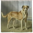 thumbnail image 4 of Saint Bernard Dog Bath Shower Curtain Liners - 72x72in - 100% Polyester - Waterproof Bath Curtain with C-Shaped Hooks for Bathroom Decoration 1 Panel, 4 of 5