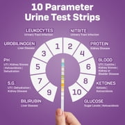 One Step Pet Urine Testing Strips, 5 x 10 Parameter Tests