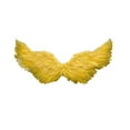 thumbnail image 3 of ONFD Plume d'Ange Performance sur Scène pour Festivals et Carnavals, 3 of 3