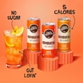 liquid-kombucha-sugar-free-organic-drink-low-calorie-probiotic-like
