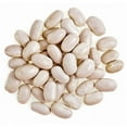 thumbnail image 2 of Organic Great Northern Beans, 5 Pounds — Non-GMO, Sproutable, Kosher, Raw, Vegan — by Food to Live, 2 of 7