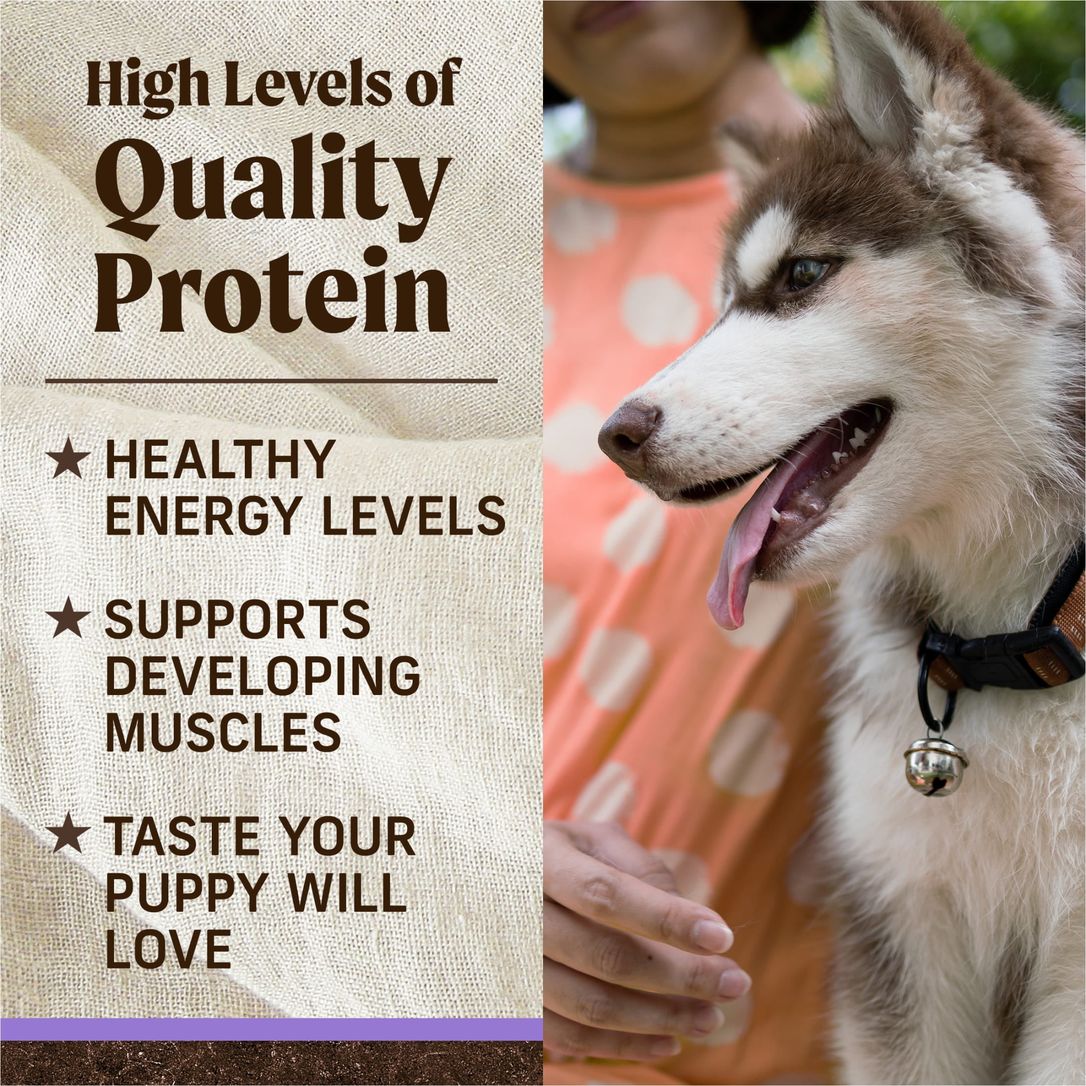 Merrick Grain-Free Puppy Dry Dog Food, High Protein Real Chicken & Sweet Potato, 22 lb Bag