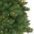 thumbnail image 2 of National Tree Company 6.5 ft. Pennington Fir Pencil Tree with Clear Lights, 2 of 4
