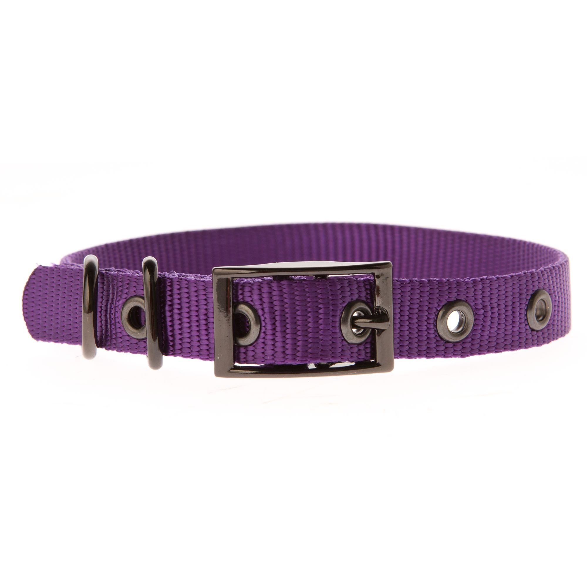 top paw dog collars