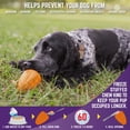 thumbnail image 4 of Juguete de Goma Natural Chew King Naranja Duradero con Sabor a Tocino para Perro Mediano, 4 of 6