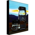 thumbnail image 2 of Trademark Art "Parfait" Canvas Wall Art by Roderick Stevens, 2 of 2