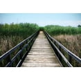 thumbnail image 2 of Hausenflock, Alan 18x13 Black Ornate Wood Framed with Double Matting Museum Art Print Titled - Wetland Walkway III, 2 of 4