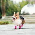thumbnail image 2 of Minzimin Dog Shoes for Small Dogs, Anti-Slip Dogs Boots & Paw Protector for Winter Snowy Day, Summer Hot Pavement Dog Booties with Reflective Straps, Cat Dog Shoe for Indoor Hardfloors, 2 of 7