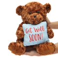 thumbnail image 3 of Blue Panda Teddy Bear Plush with Get Well Pillow - Get Well Gift for Women, Men & Teens - Plush Stuffed Animals for Kids & Hospital Visitors - Dark Brown - 14 in, 3 of 6