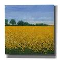 thumbnail image 1 of Epic Graffiti 'Field of Sunflowers I' by Tim O'Toole, Canvas Wall Art, 12"x12", 1 of 2